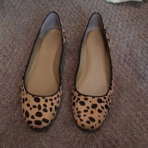 Ann Taylor leopard ballet flats- like new!